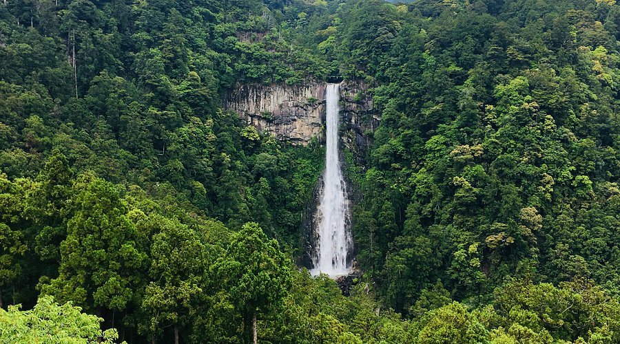 🏞️ 나나요 폭포(나나요노타키) 이미지 1
